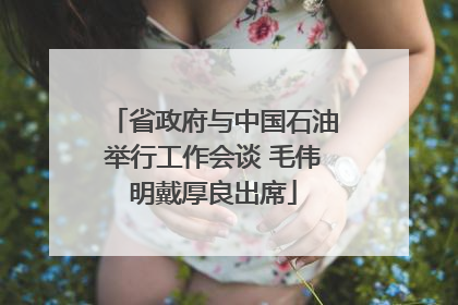 省政府与中国石油举行工作会谈 毛伟明戴厚良出席
